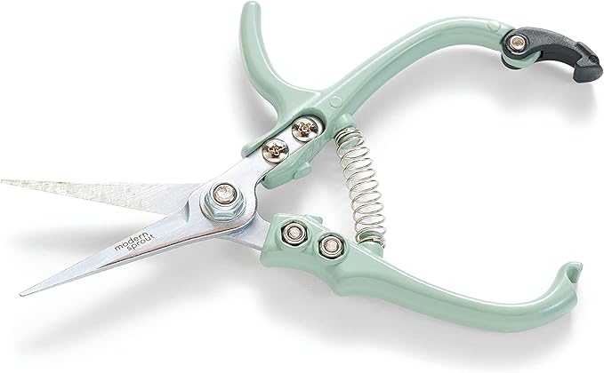 Modern Sprout Pruning Shears - Herb Snipping Scissors- Lightweight Gardening Tools W/Easy Lock - Flower Cutter Garden Shears - Carbon Steel Blade + Reusable Holster (Green, 1-Pack)